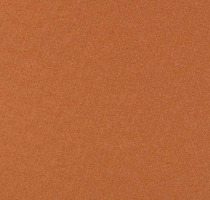 Fiberdrill · Cinnamon