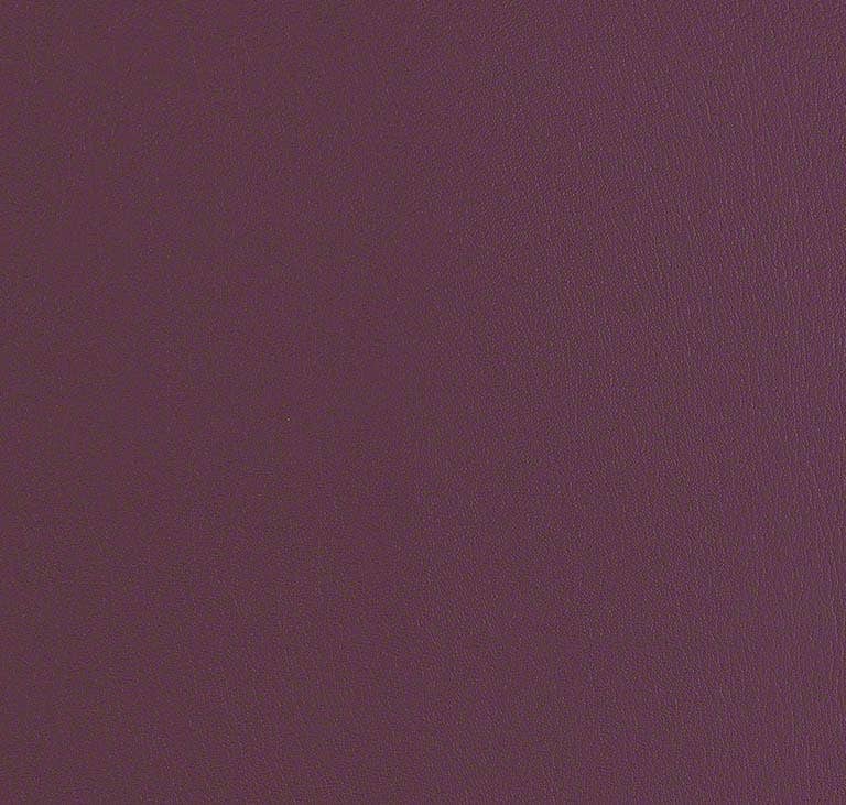Core 2.0 · Black Plum