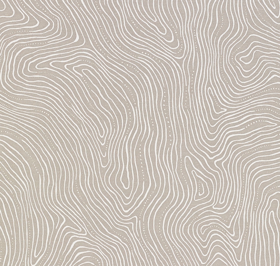 Topography · Pebble